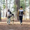NATUREHIKE: Wytrzymałe i ultralekkie kije trekkingowe